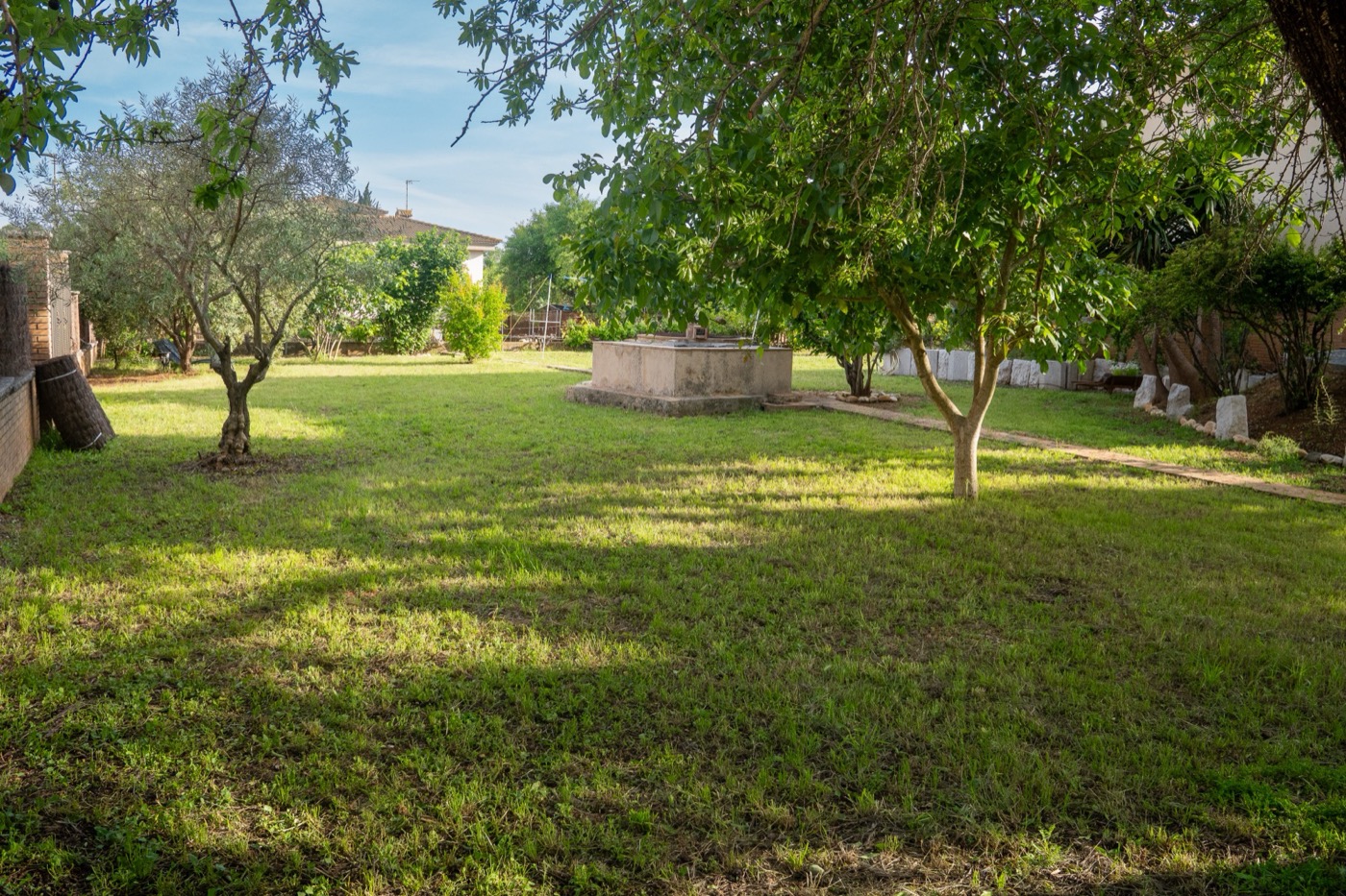 Jardí 5