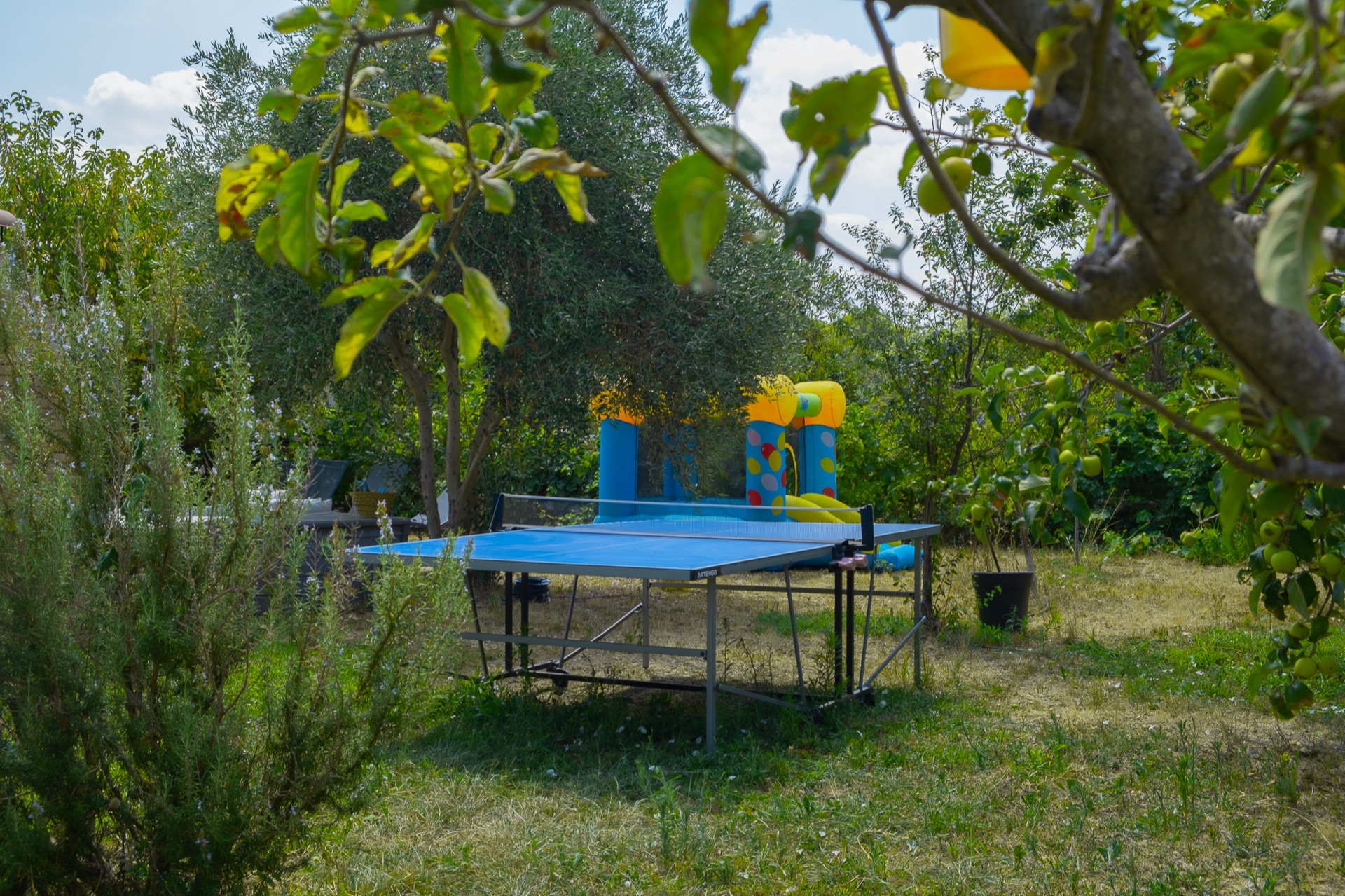 Taula de ping-pong al jardí